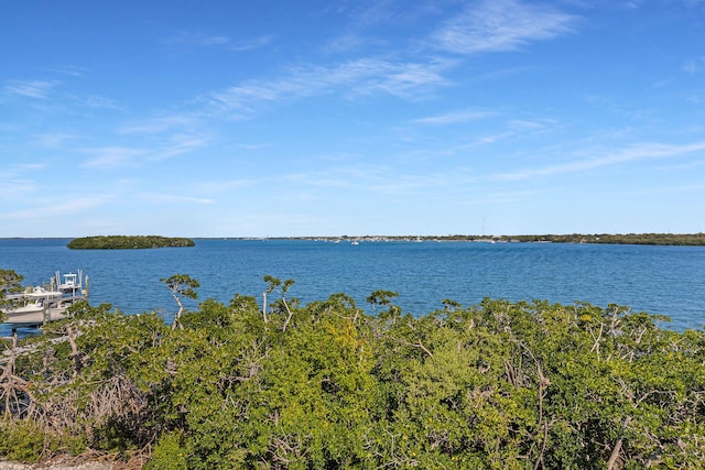 25 Mutiny Pl, Key Largo, FL 33037 - water view