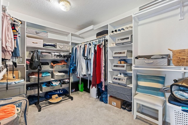 walk in closet featuring carpet flooring