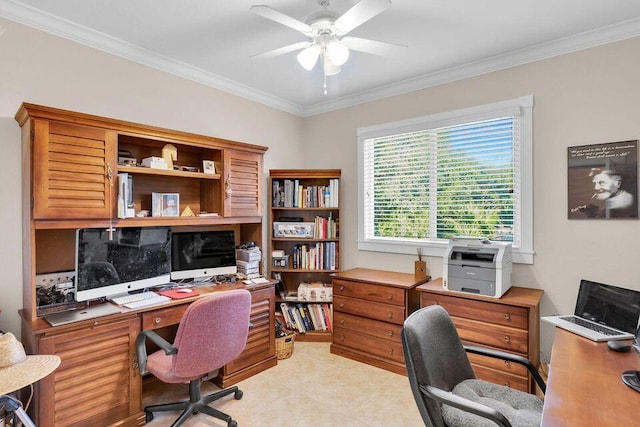 office with a ceiling fan and ornamental molding