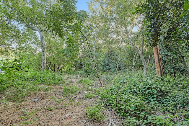 view of landscape featuring a wooded view