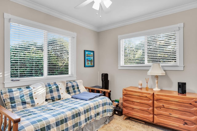 bedroom featuring ornamental molding, multiple windows, and a ceiling fan