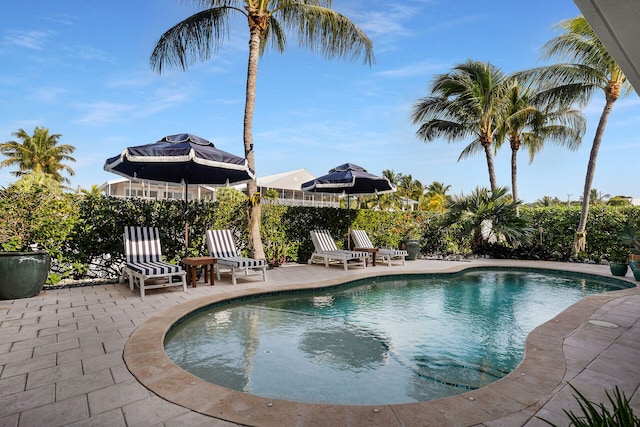 118 Spoonbill Rd, Tavernier, FL 33070 - photo 2