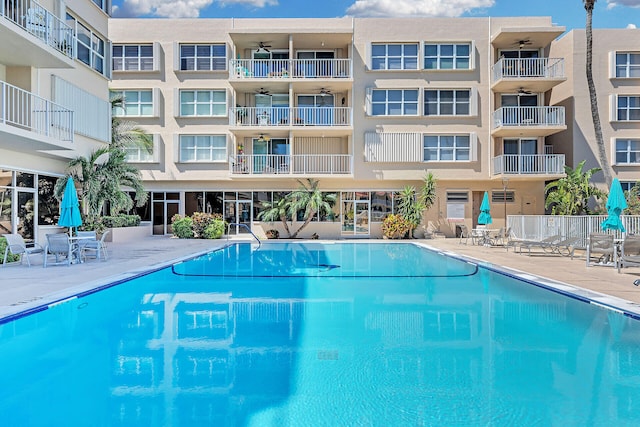 view of pool featuring a patio and ceiling fan