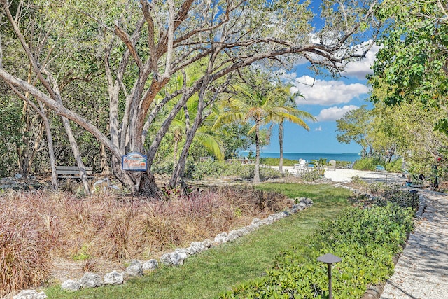 view of yard featuring a water view