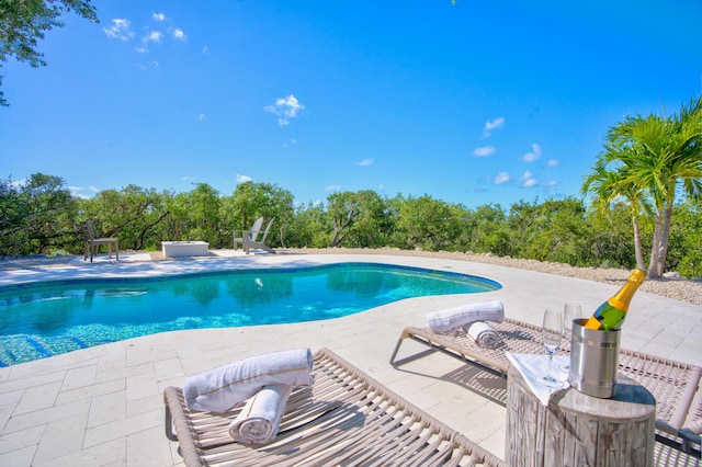 view of swimming pool featuring a patio area