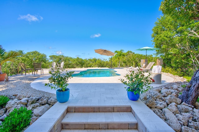 view of swimming pool featuring a patio