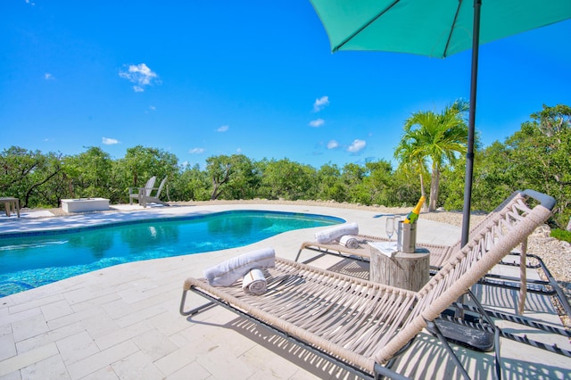 view of swimming pool with a patio area