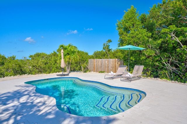 view of swimming pool with a patio