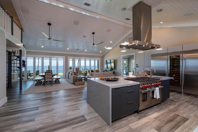 kitchen featuring a large island, crown molding, premium appliances, island range hood, and light wood-type flooring