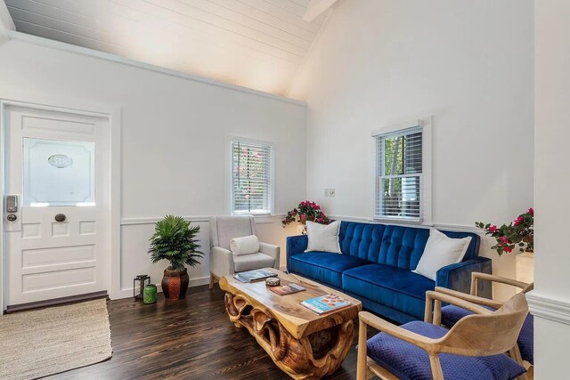 817 Terry Ln, Key West, FL 33040 - living room featuring dark wood-style floors and high vaulted ceiling