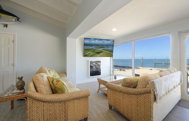 living room featuring lofted ceiling with beams and wood-type flooring