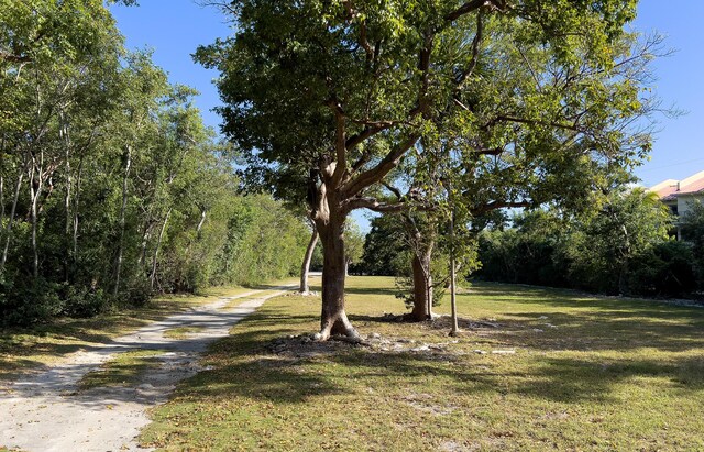 75730 Overseas Hwy, Islamorada, FL 33036 - photo 21