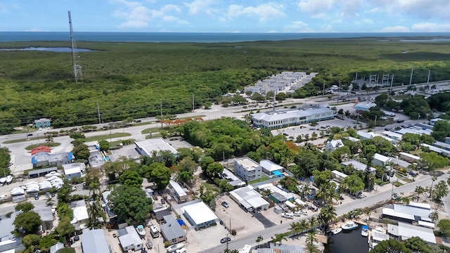 939 Plantation Rd, Key Largo, FL 33037 - bird's eye view of a heavily wooded area and a large body of water