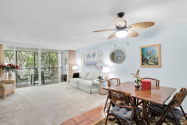 dining room featuring light carpet, a wall of windows, ornamental molding, and ceiling fan