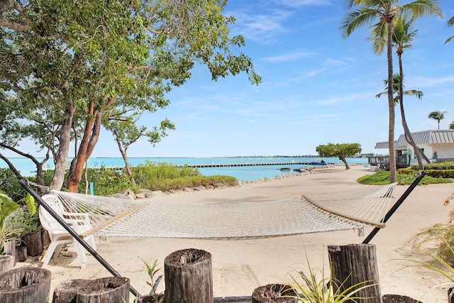 view of water feature featuring a beach view