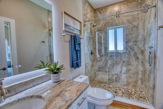 bathroom featuring vanity, toilet, and a shower with door