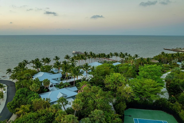 aerial view at dusk with a water view