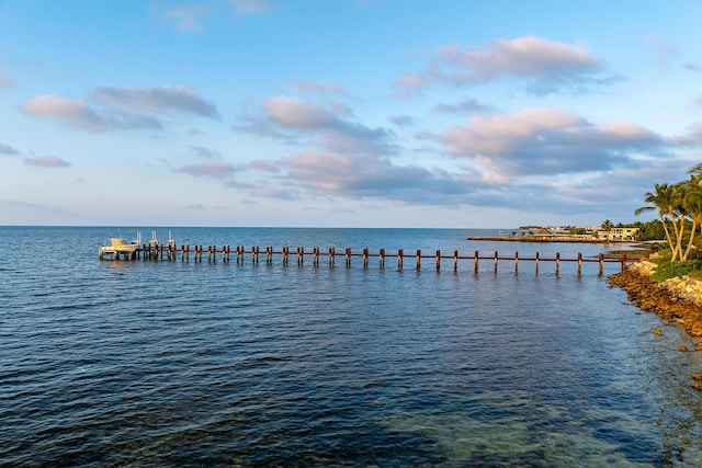 property view of water featuring a dock