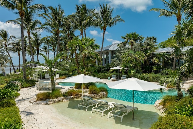 view of swimming pool with a patio area