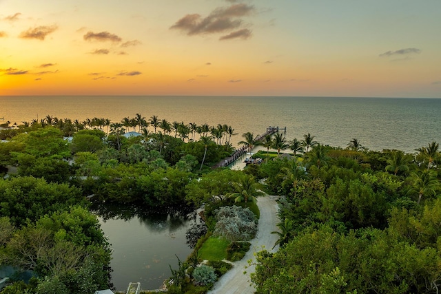 aerial view at dusk featuring a water view