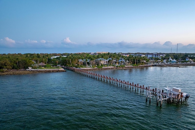 water view featuring a dock