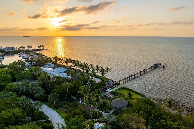 aerial view at dusk featuring a water view