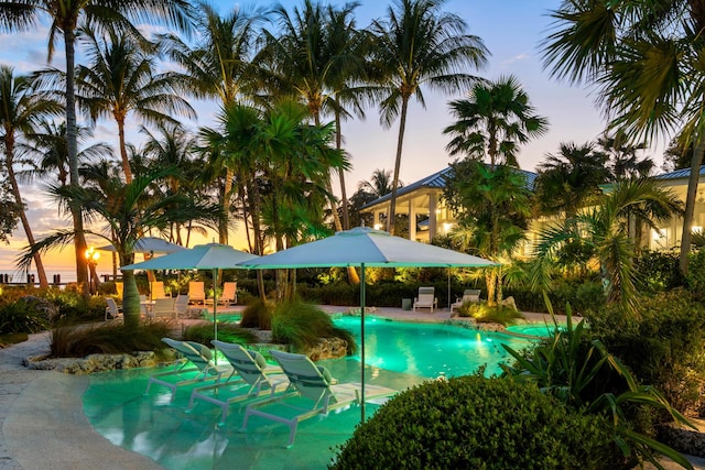 pool at dusk featuring a patio