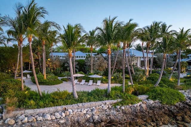 view of home's community featuring a patio