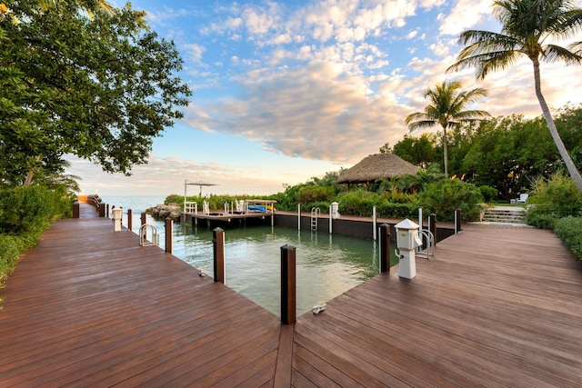 dock area with a water view