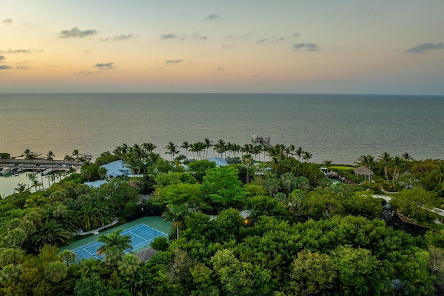 aerial view at dusk with a water view