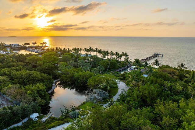 aerial view at dusk with a water view