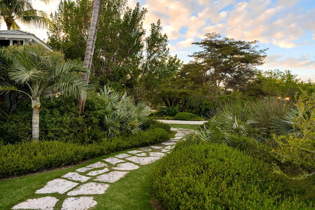 view of yard at dusk