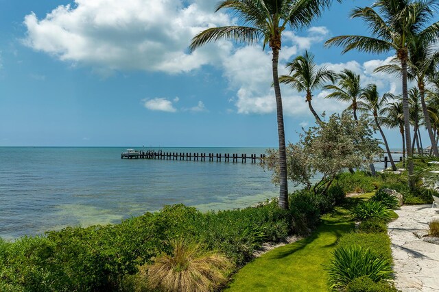 water view featuring a boat dock