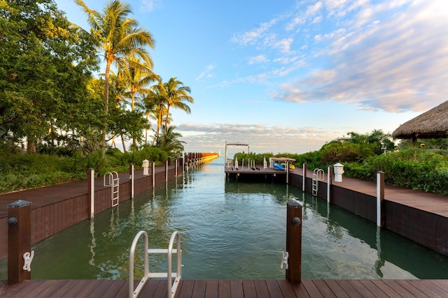 dock area featuring a water view