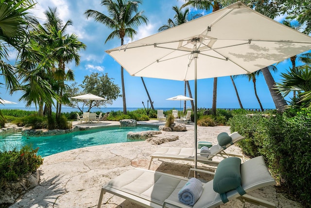 view of pool featuring a patio