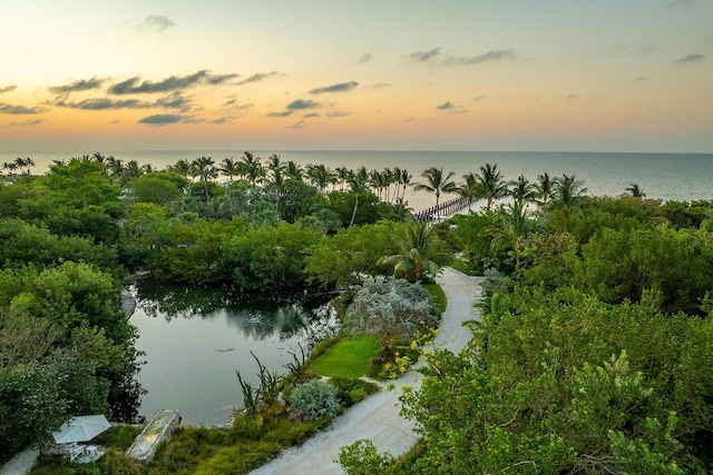 property view of water