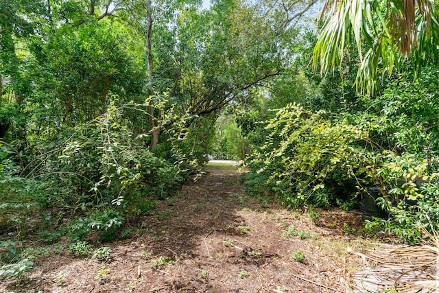 228-230 Apache St, Tavernier, FL 33070 - view of nature