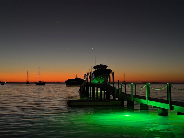 dock area featuring a water view