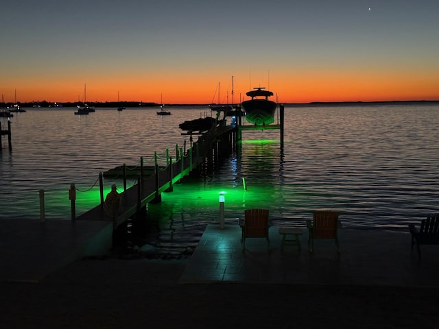 dock area with a water view