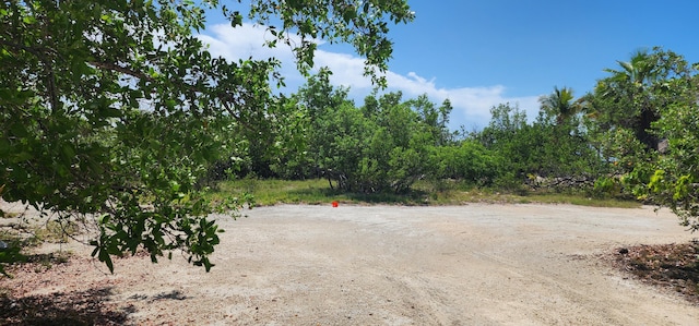 BK7LT5 Coral Way, Big Pine, FL 33043 - photo 1