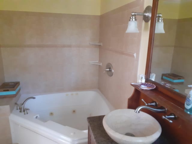 bathroom with vanity and a bathtub