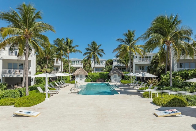 82779 Old Hwy Unit 21, Islamorada, FL 33036 - community pool with a patio, a residential view, and a shed