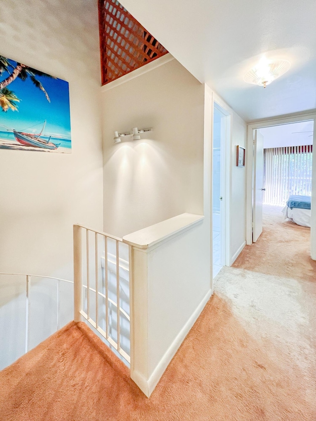 hallway with carpet