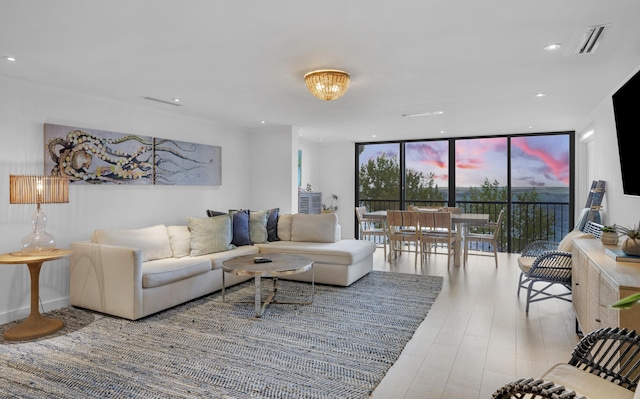 living room with floor to ceiling windows and light hardwood / wood-style floors