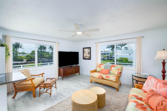 117 Sandy Cove Ave, Islamorada, FL 33036 - photo 2