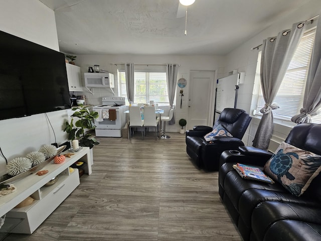 living room with hardwood / wood-style floors