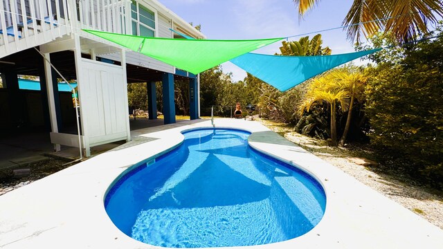 18 W Circle Dr, Saddle Bunch, FL 33040 - view of swimming pool
