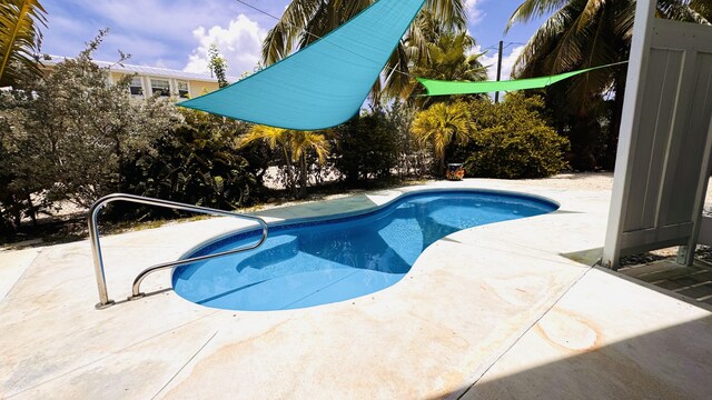 18 W Circle Dr, Saddle Bunch, FL 33040 - view of pool with a patio area