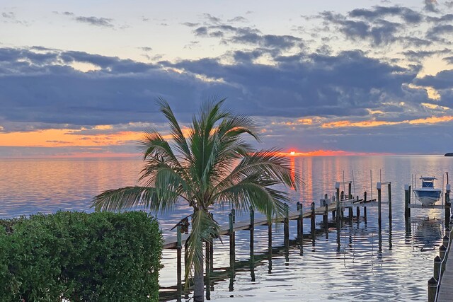 water view featuring a dock