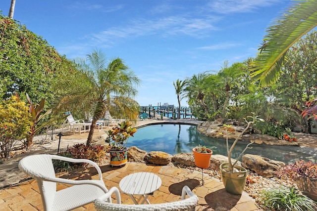 view of swimming pool with a patio area